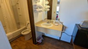 bagno con lavandino, servizi igienici e specchio di The Nova Motel a Ludington
