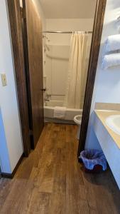 a bathroom with a shower and a toilet and a sink at The Nova Motel in Ludington
