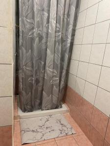 a shower with a shower curtain in a bathroom at Maria's Central Apartment in Igoumenitsa +9 photos