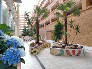 Fotografie z fotogalerie ubytování ACV - Torremar-2ª linea planta 5 frontal 3 v destinaci Oropesa del Mar