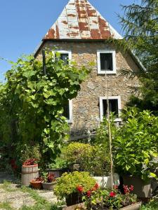 an old stone house with plants in front of it at Household Jakic in Pljevlja