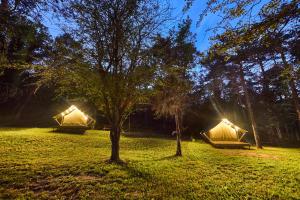 حديقة خارج Camping-Bungalow la Vall de Campmajor