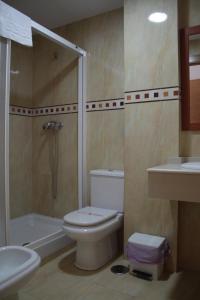 a bathroom with a toilet and a shower and a sink at Apartamentos Turísticos Fercomar in Nerja