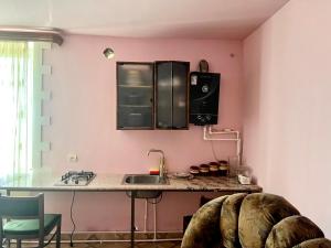 a kitchen with pink walls and a counter with a sink at Yerivar in Semyonovka