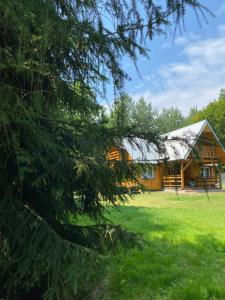 uma cabana de madeira num campo com uma árvore em Domek w lesie em Czerce