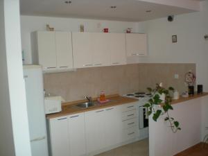A kitchen or kitchenette at Apartments Karla Slatine