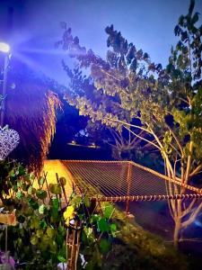 a hammock in the middle of a garden at night at Mangoo Glamping in Melgar