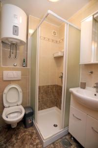 La salle de bains est pourvue d'une douche, de toilettes et d'un lavabo. dans l'établissement Apartman Cinkopan Premantura 1, à Premantura