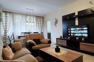 Vračar (historical)にあるAstra Mの椅子2脚とテレビのあるリビングルーム