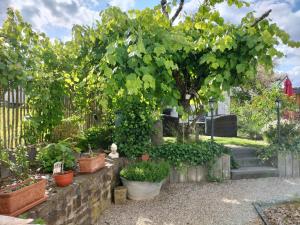 Ein Garten an der Unterkunft Ferienwohnung Schneider