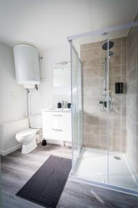 La salle de bains est pourvue d'une douche et de toilettes. dans l'établissement L'Albatros 005 - Hypercentre * Cosy * Wifi, à Saint-Quentin