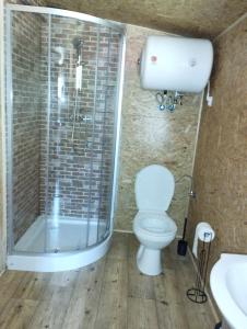 W łazience znajduje się prysznic, toaleta i umywalka. w obiekcie Nad Stawami w mieście Narewka