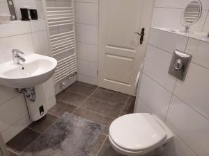 La salle de bains blanche est pourvue de toilettes et d'un lavabo. dans l'établissement Rheinblick Apartment Remagen, à Remagen