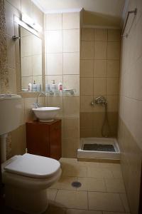 a bathroom with a toilet and a sink and a shower at Traditional Stone Mezonete in Krousón