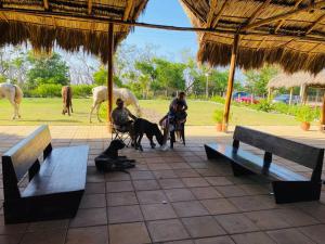 a group of people riding horses in a field with horses at Mini Casa Campestre Privada in La Playa