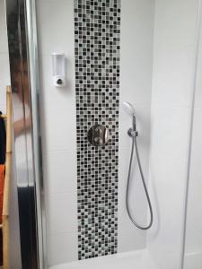 a shower in a bathroom with a black and white tile wall at Sous les toits de Saint-Félix in Nantes
