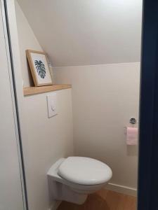 a bathroom with a toilet and a picture on a shelf at Sous les toits de Saint-Félix in Nantes