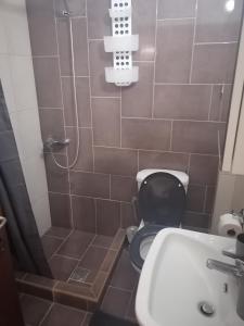 a bathroom with a toilet and a sink and a shower at ASTERIDE in Afitos