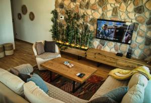 a living room with a couch and a tv at The Olive Trees Penthouse - two bedroom in Bar