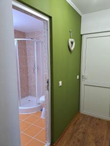 a bathroom with a shower and a toilet and green walls at Pensiunea Păstrăvul in Cîrţişoara