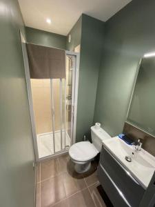 La salle de bains est pourvue de toilettes, d'un lavabo et d'une douche. dans l'établissement T2 refait à neuf sur le thème oriental, à Rodez