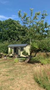 une petite maison jaune dans un champ avec un arbre dans l'établissement Apple Orchard Shepherd Huts, à Staple Cross