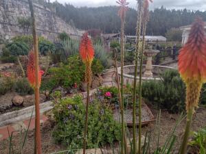 un jardín con flores de colores y una fuente en Lujosa Casa Quinta en Naturaleza Andina en Iza