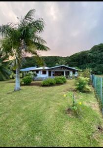 una casa con una palmera en un patio en CHEZ TAUA maison isolée pas de wifi ni bus en Opoa