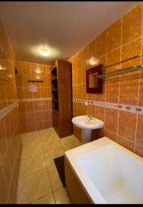 een badkamer met een wastafel, een douche en een toilet bij CHEZ TAUA maison isolée pas de wifi ni bus in Opoa