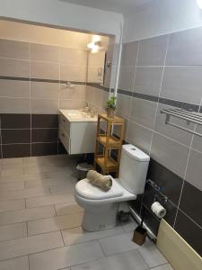 łazienka z toaletą i umywalką w obiekcie Les Gîtes de Bibine Coin calme et tranquille w mieście Rabi