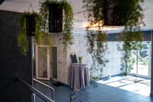 Balkón nebo terasa v ubytování Hotel Apollo