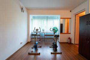 Fitness centrum a/nebo fitness zařízení v ubytování Hotel Apollo