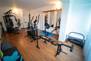 Fitness centrum a/nebo fitness zařízení v ubytování Hotel Apollo