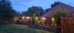 a backyard with a fence with lights on it at The Smiling Frog in Portchester