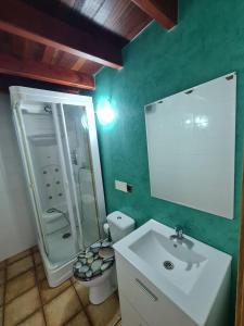 uma casa de banho verde com um lavatório e um WC em StarHome em San Miguel de Meruelo