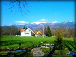a house in a field with mountains in the background at Galesic Apartments & Rooms in Korenica