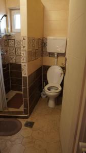 a bathroom with a toilet and a shower at Casablanca in Niš