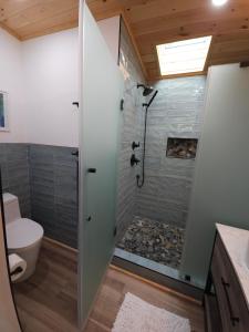 a bathroom with a shower and a toilet at Tranquil renovated house in woods - great for families year around in Tannersville