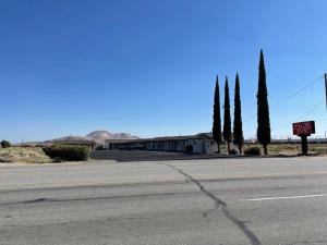 an empty street with cypress trees and a building at Palm Inn in Mojave