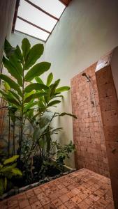 un bagno con doccia e una grande pianta di Miss Margrits a Granada