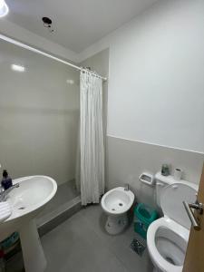 een witte badkamer met een toilet en een wastafel bij Latorre Apartment in Salta
