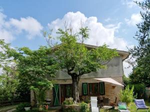 een huis met een boom ervoor bij Holiday home dei Pavoni, Montemaggiore in Montemaggiore al Metauro