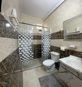 La salle de bains est pourvue d'une douche, de toilettes et d'un lavabo. dans l'établissement Treasure of Petra, à Wadi Musa