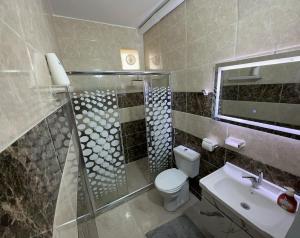 La salle de bains est pourvue d'une douche, de toilettes et d'un lavabo. dans l'établissement Treasure of Petra, à Wadi Musa