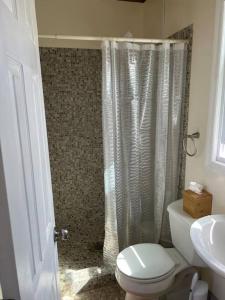 a bathroom with a toilet and a shower and a sink at Bahari in Carriacou