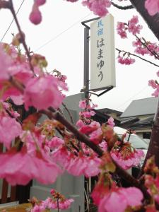 Galería fotográfica de Hamayuu en Higashiizu