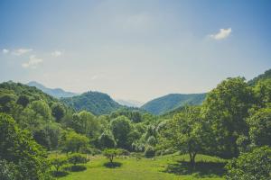 Paisaje cerca of this country house