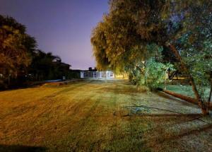 un árbol sentado en medio de un campo en Único Chalet en barrio privado! en Maco
