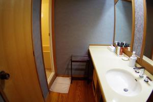 a bathroom with a sink and a mirror at Kasuga Hotel in Nara