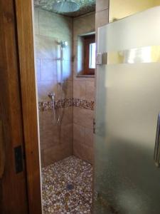 eine Dusche mit Glastür im Bad in der Unterkunft Hale Laule'a at Opihi Point - Oceanfront, Gated Estate in Hakalau